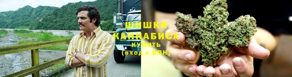 мяу мяу мука Зерноград