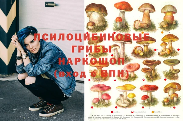 мяу мяу мука Зерноград